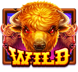 JILIကျွဲစလော့ Charge Buffalo slot game with glowing buffalo, scatter coins, wild symbol, 5x multiplier and 100 free spins