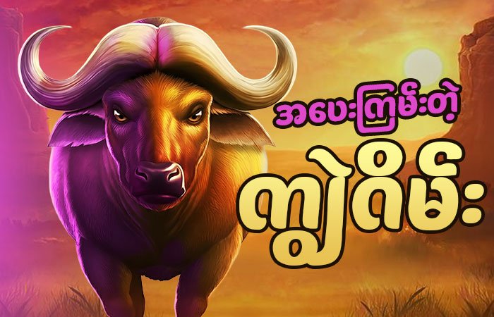အပေးကြမ်းတဲ့ကျွဲဂိမ်း Buffalo Slot 5x4 reels နှင့် high volatility gameplay interface